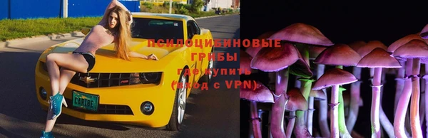 мет Алзамай