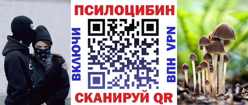 МЕГА онион  купить наркотик  Гаврилов Посад  Псилоцибиновые грибы мухоморы 